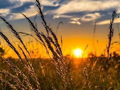 科音達(dá)講解器助力綏陽鎮(zhèn)產(chǎn)業(yè)發(fā)展