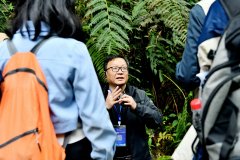 無線講解設備不止替代擴音器，更破解景區(qū)、企